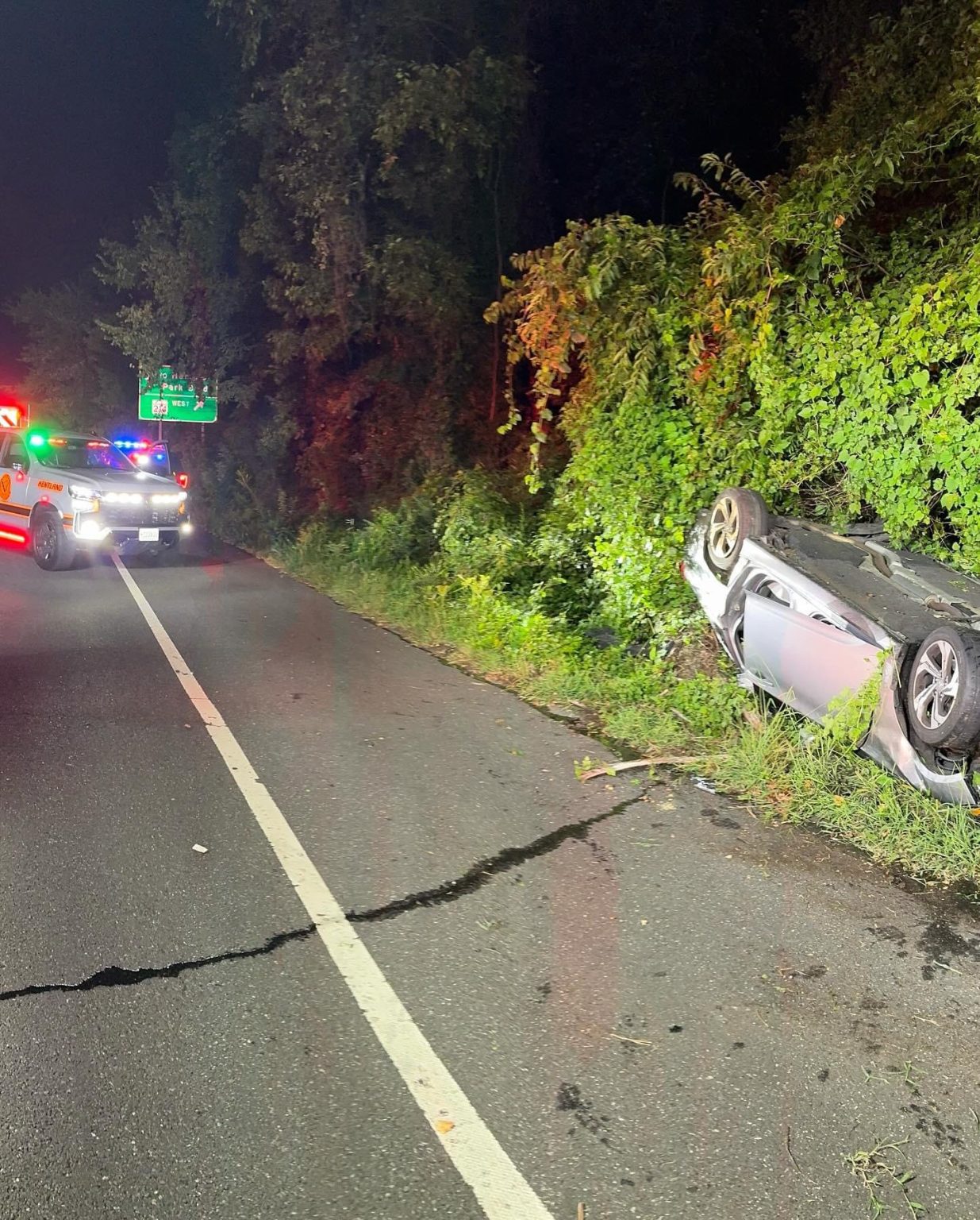 A silver car lies overturned on its roof off the side of a road at night, with police vehicles and flashing lights nearby. The car is partially in bushes and trees, and the road appears cracked.