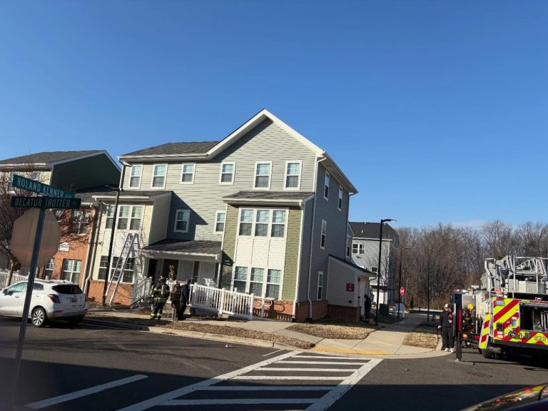 A fire truck and firefighters are parked outside a multi-story residential building on a sunny day. A white SUV is nearby, and a street sign reads “Roland Lemoy” and “Decatur Fortier.” The scene appears calm.