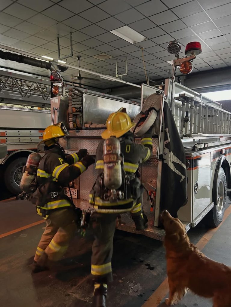 Two firefighters in gear climb onto a fire truck inside a garage, while a golden retriever dog stands nearby looking up at them. The truck is equipped with ladders and emergency lights.